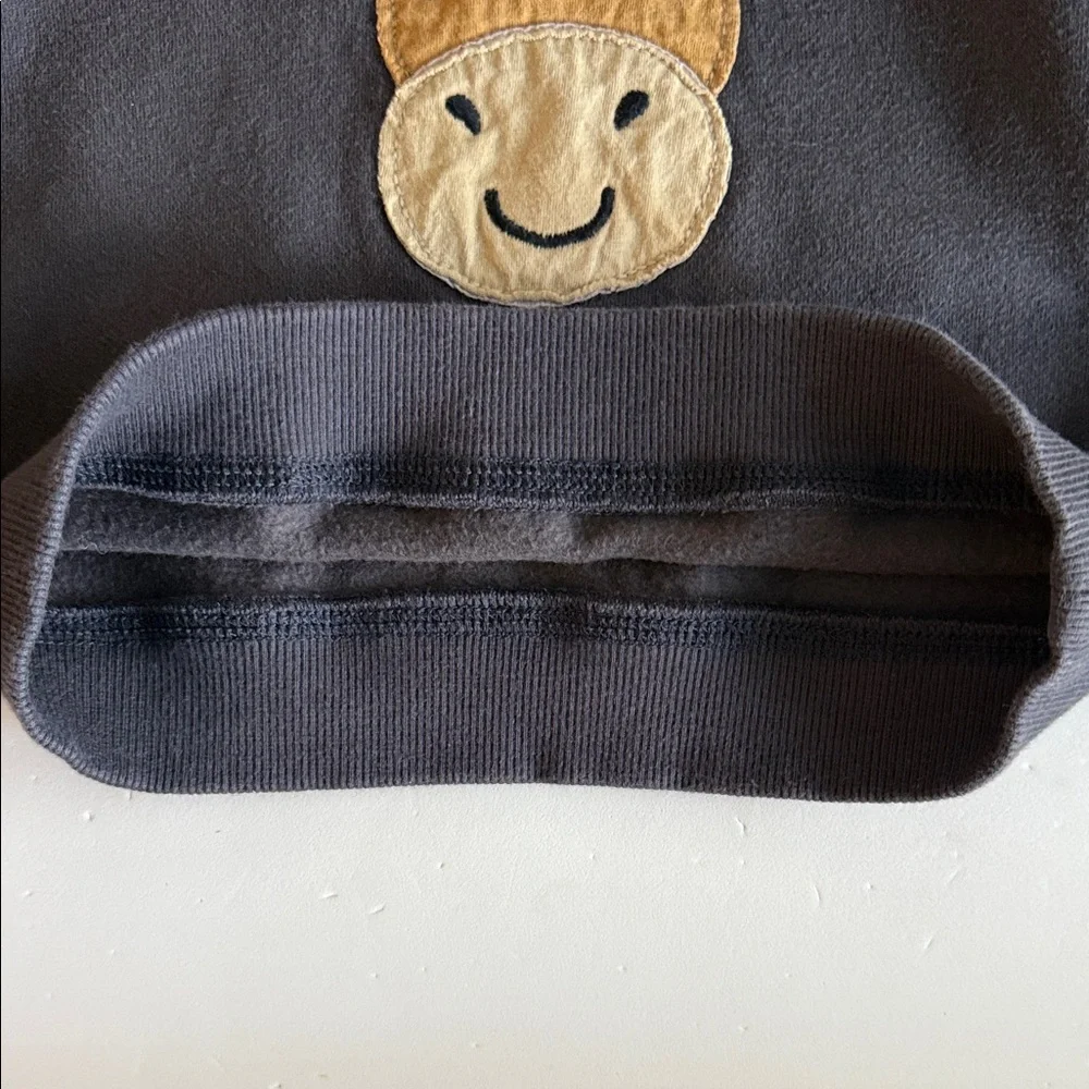 Carter’s Gray Toddler Boy Hoodie with Reindeer Design 3T